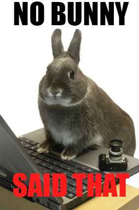 Illustration for article titled No Bunny Said That: A BUNNY BOMB POST